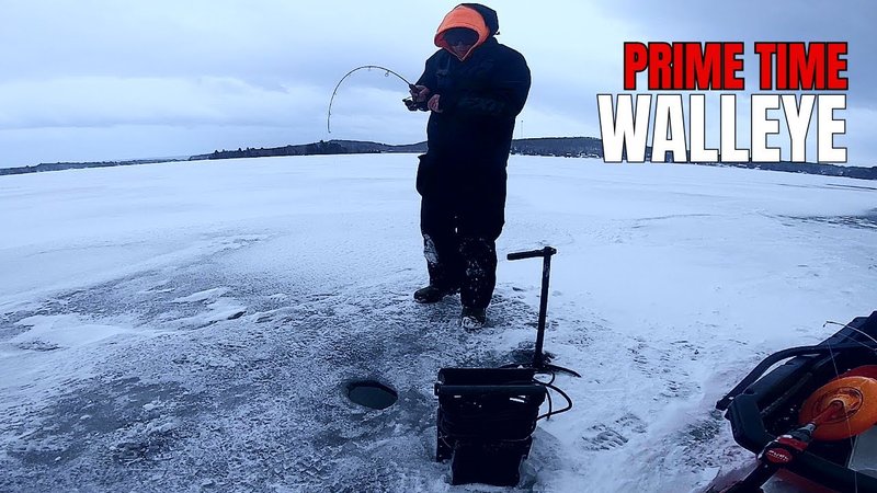 Image: Experience the Thrill of Ice Fishing Live Casino Games in the UK